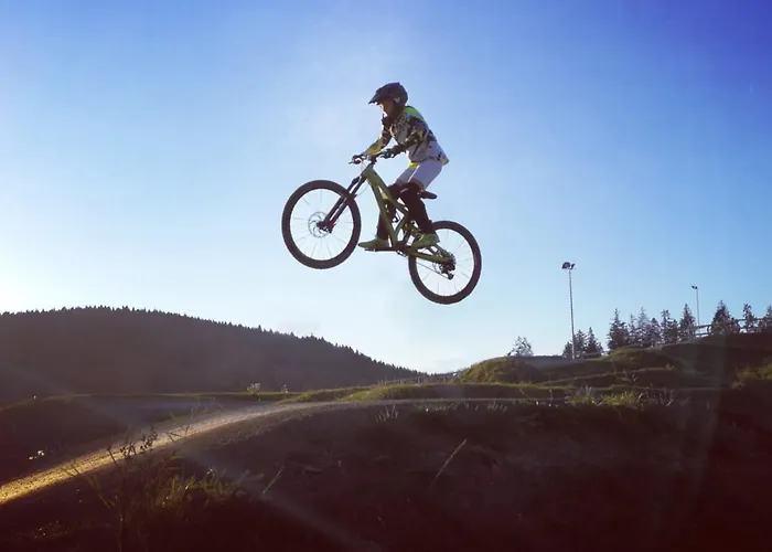 Bergkristall Direkt Am Bikepark Und Skigebiet, 2 Schlafzimmer, Terrasse, Abschliessbarer Keller *